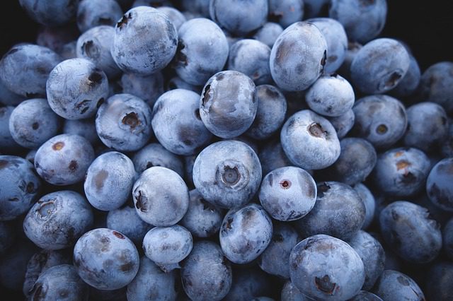 blueberries help arthritis pain
