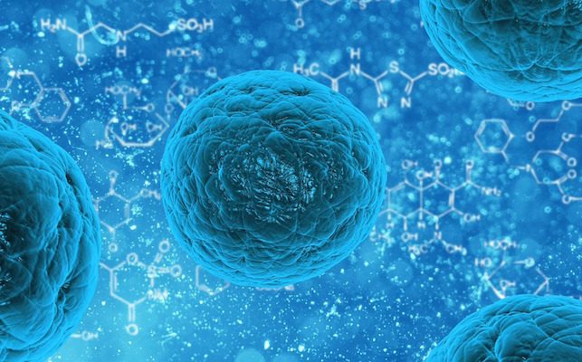 Stem cells