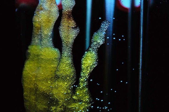 stem cell regenerative therapy