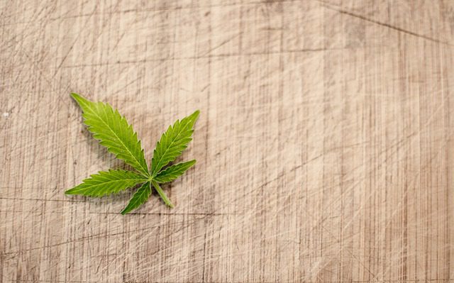 edible medical marijuana