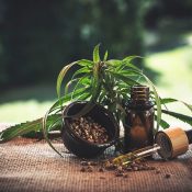 medical marijuana and cbd