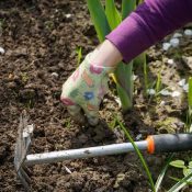 working in the garden